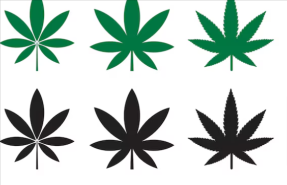 How to Use Cbd Oil in Vape Pen