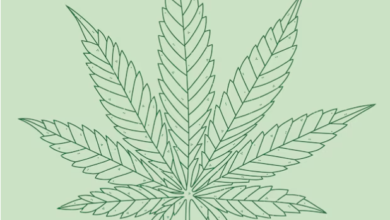 What Does Cbd College Stand for