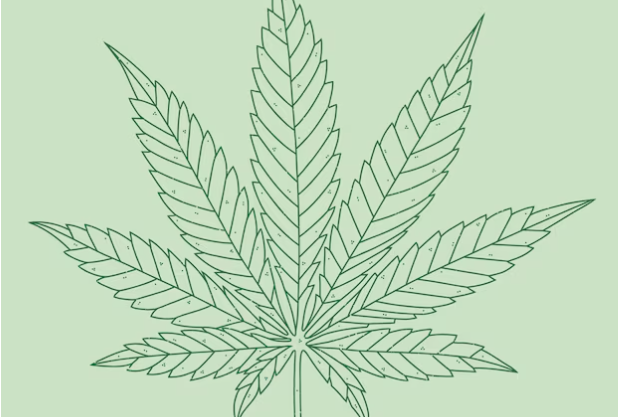 What Does Cbd College Stand for