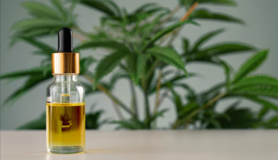  How Long Does Cbd Oil Stay in Your System Reddit