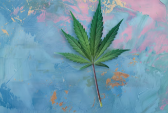  How to Tell Cbd Flower From Weed