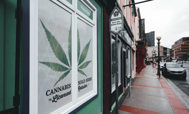 The Role of Budtenders in Cannabis Education and Customer Care