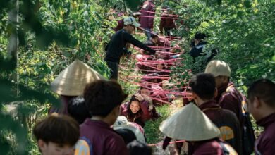 business expansion strategies outlined