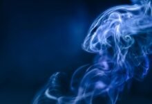 emerging sector dynamics analysis