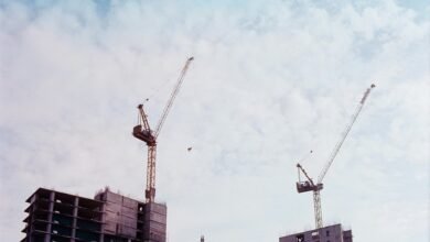 industry expansion insights report