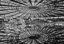 industry innovation predictions ahead