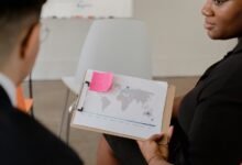 sector development insights analysis