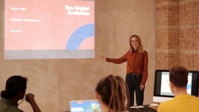 sector evolution analysis summary