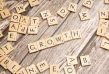 sector expansion evaluation metrics