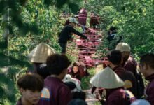 strategic growth opportunities identified