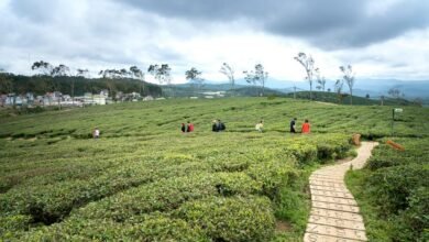 untapped opportunities exploration strategy