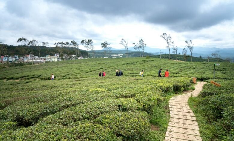 untapped opportunities exploration strategy